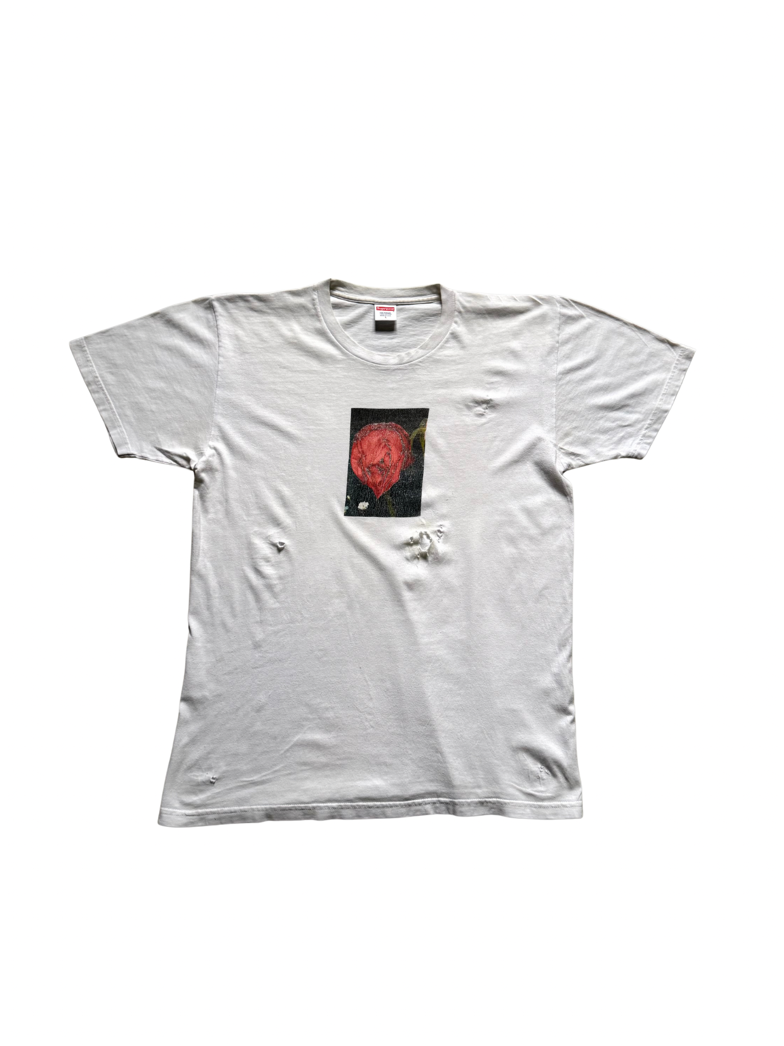 Untitled design - 45