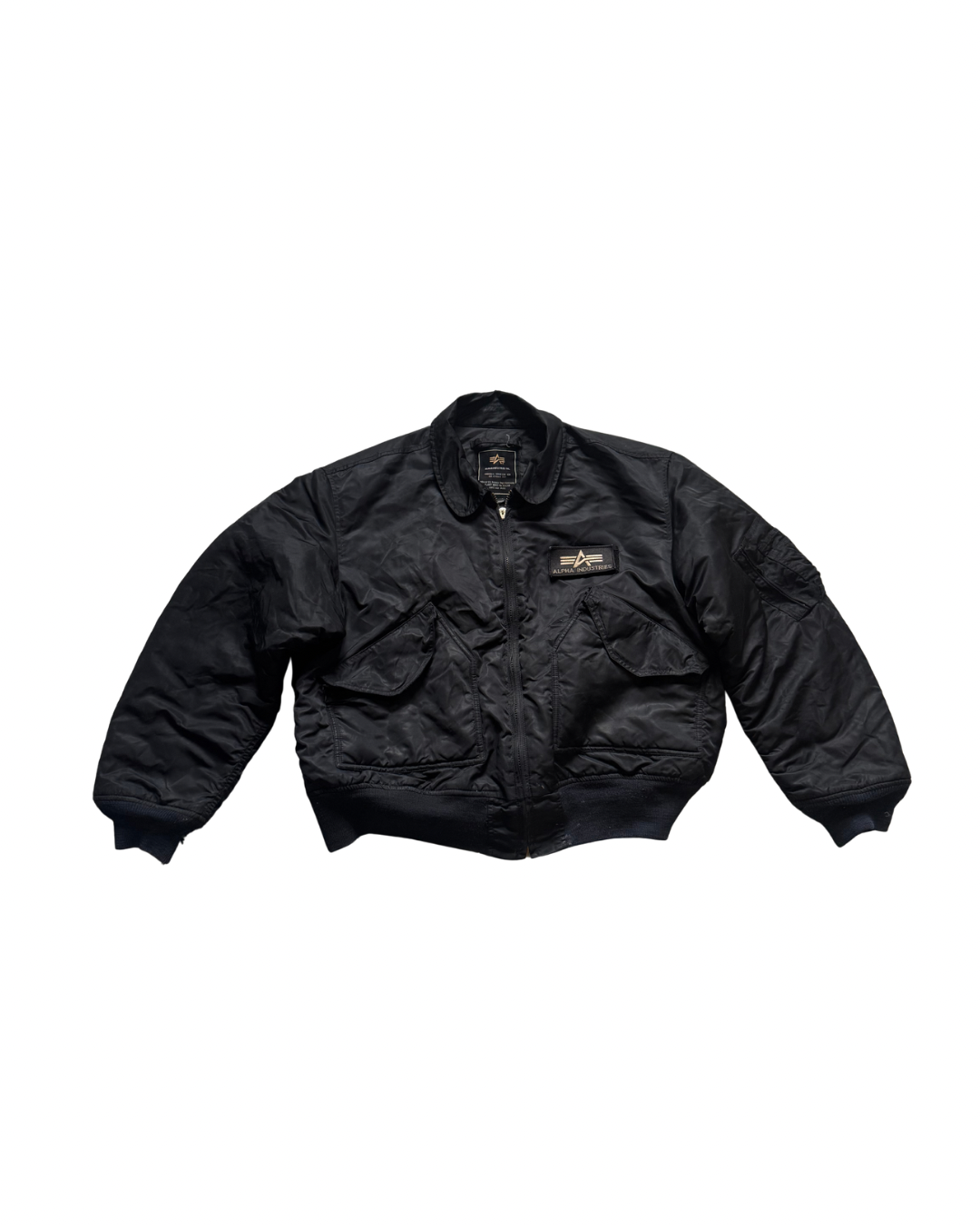 Untitled design - 81